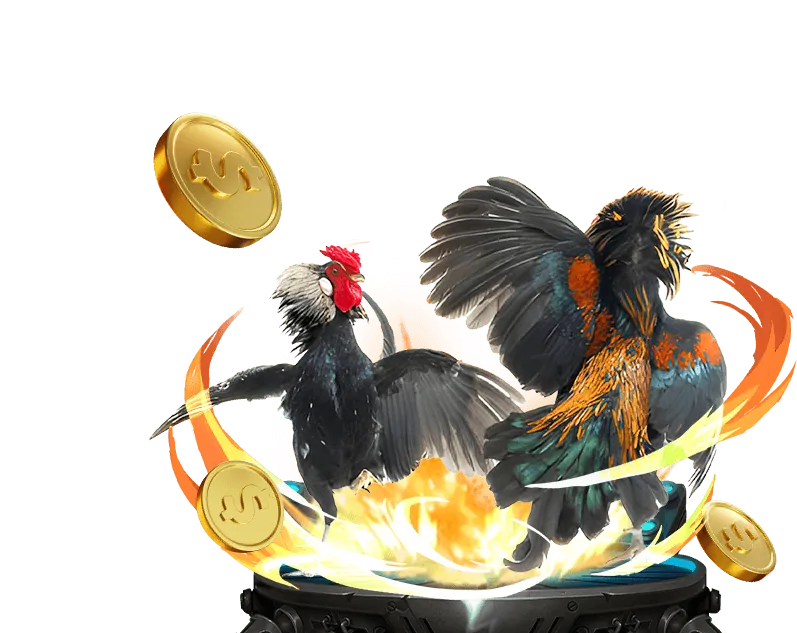 Khuyến mãi đặc biệt cho người chơi đá gà ip88 win