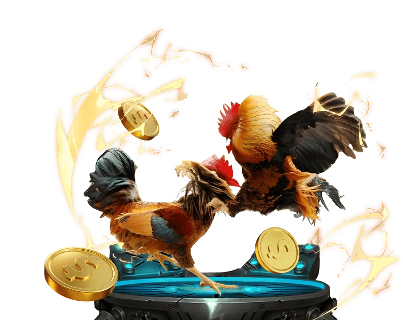 Các loại kèo cược đá gà tại ip88 win